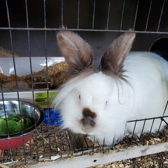 Meet your Posher, Alexandra - Picture 13 of 16